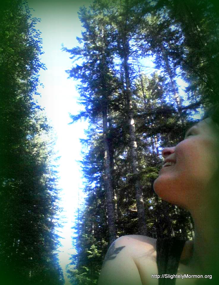 Looking up at the trees that look like home to me