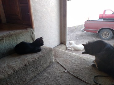 img_20160613_183352170